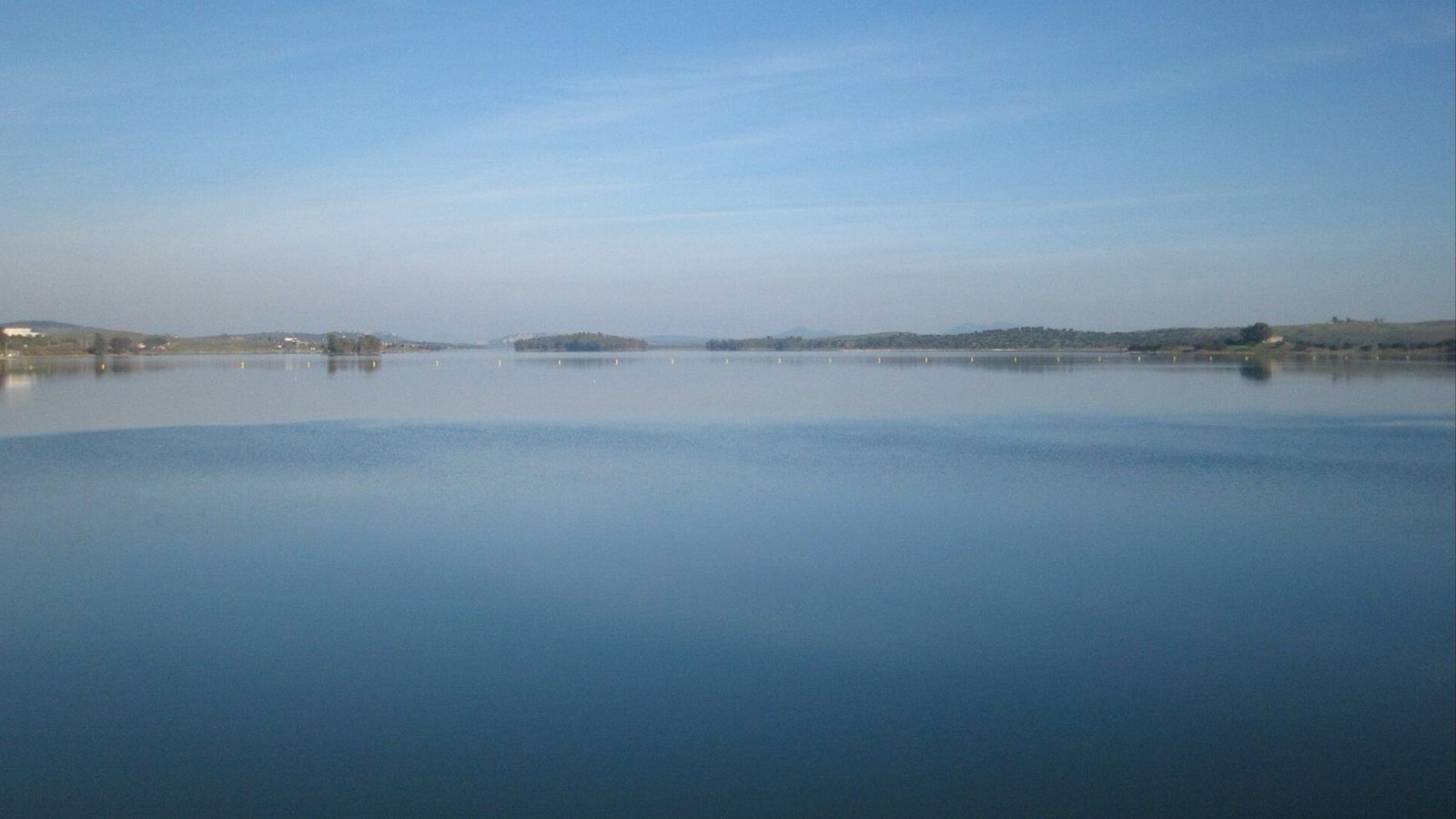 Lacipea
