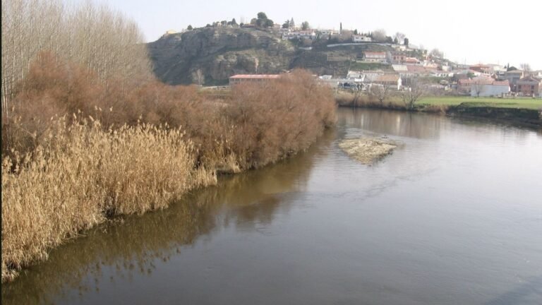 Titulcia